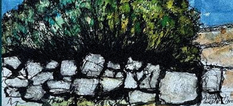 alberto-ziparo-ecoterritorialismo.jpg