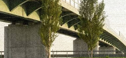 alessandra-valentinelli-pecore-autostrada.jpg