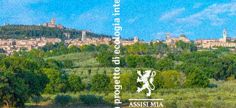 david-grohmann-piana-assisi.jpg