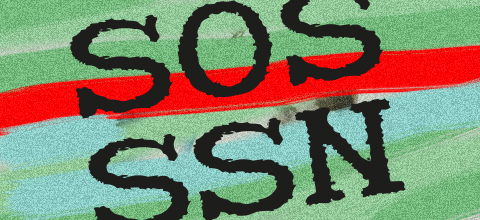 pino-landonio-sos-snn.jpg