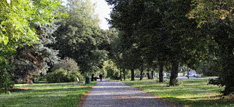 raffaella-bedosti-regolamento-UE-territorio.jpg